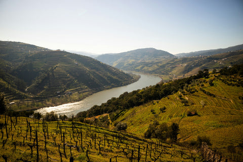 fleuve Douro et vignobles au Portugal au coucher du soleil, vue panoramique