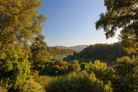Le Minho : entre verts paysages et Vinho Verde