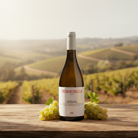 Bouteille de vin blanc Taboadella Encruzado Reserva 2022 sur table en bois, raisins blancs sur les deux côtés de la bouteille, vignoble ensoleillé en arrière-plan